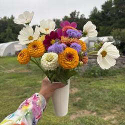 Sunflowers and More: Pick Your Own Beautiful Bouquet from our gorgeous flower fields!