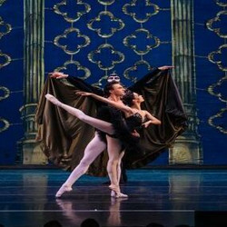 Swan Lake: International Ballet Stars in Indianapolis, In!
