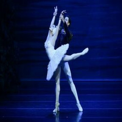 Swan Lake: The State Ballet Theatre of Ukraine in Shreveport, La!