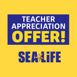 Teacher Appreciation Month Returns to Sea Life!