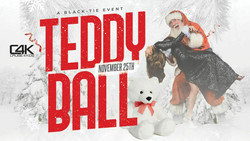 Teddy Ball - A Black-Tie Charity Celebration Collecting Teddy Bears for Children on November 25