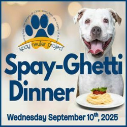 The 11th Annual Spay-Ghetti Dinner