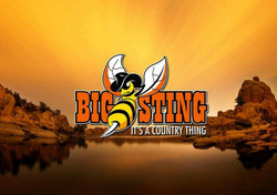 The Big Sting | Country Music Festival | Prescott, Az