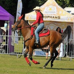 The Bucks Town and Country Show