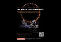 The Delicate Sound of Pink Floyd