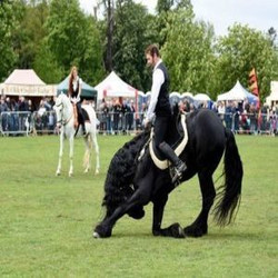 The East of England Country Show