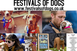 The London Festivals of Dogs