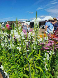 The Norfolk Garden Show 2025