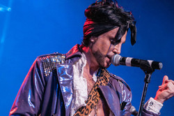 The Purple Xperience - Prince tribute band