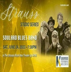 The Soulard Blues Band