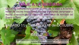 Trip To The Wine Harvest 2014 (Saturday 11 – Sunday 12 of October)