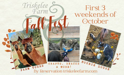 Triskelee Farm Fall Fest 2022