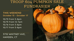 Troop 604 Pumpkin Sale