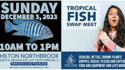 Tropical Fish Swap Meet