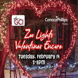 Valentines Evening Zoo Lights
