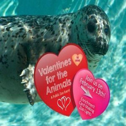 Valentines for the Animals at the Alaska Zoo