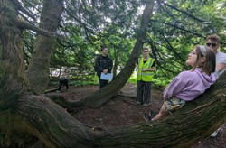 Wandering Emotions Family Wellbeing Walk