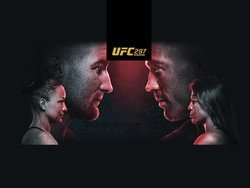 Watch and bet Ufc 297 at The Brook