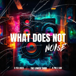 What Does Not Noise: Live Music + Dj sets | Feb 3rd 2023