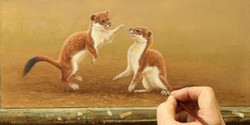 Wild About | Stoats and Weasels | Art Exhibition