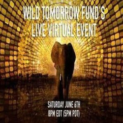 Wild Tomorrow Fund's Live Virtual Event