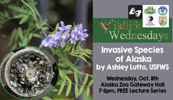 Wildlife Wednesday: Invasive Species in Alaska