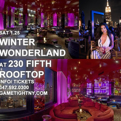 Winter Wonderland Penthouse Party at 230 Fifth Rooftop