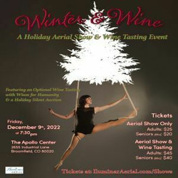 Winter and Wine: A Holiday Aerial Show and Wine Tasting Event