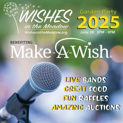 Wishes in the Meadow 2025