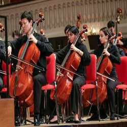 Worcester Youth Orchestras Mid-Season Auditions