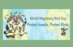 World Migratory Bird Day at the Zoo
