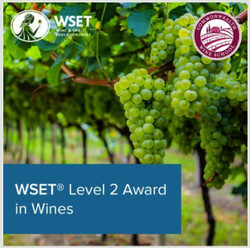 Wset Level 2 Certificate In Wines [Nov 15 - Jan 24]