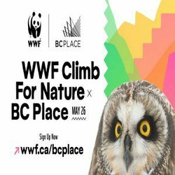 Wwf Climb for Nature - Bc Place, May 26, 2024