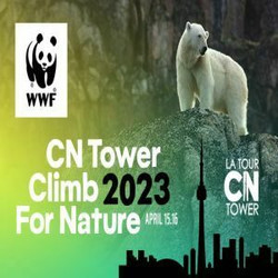 Wwf-canada's Cn Tower Climb for Nature April 15 and 16