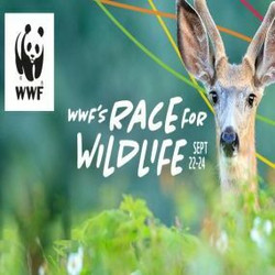Wwf-canada's Race for Wildlife Sept 22-24