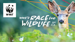 Wwf-canada's Race for Wildlife Sept 22-24