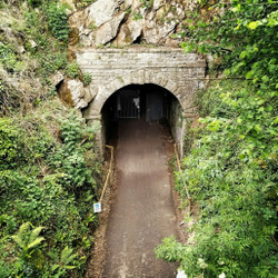Wye Valley Tunnel Run Marathon, Half Marathon, 10km, 6km and Colourburst - 16th July 2023