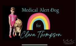 Yard Sale Fundraiser To Help 6 Year-Old Clara Thompson Purchase a Medical Alert Service Dog