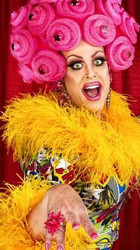 York Stage Musicals: Priscilla Queen of the Desert The Musical