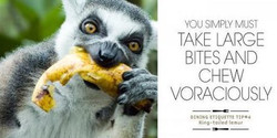 Zoofari: Dine for Wildlife