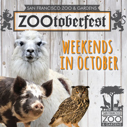 Zootoberfest