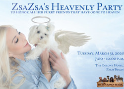 Zsazsa's Heavenly Party