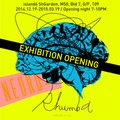 "neuro-rhumba" Exhibition Opening Night @ island6 ShGarden