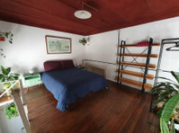 Huge room in a beautiful house, San Telmo, Buenos Aires - Collocation