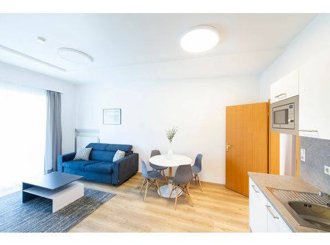 Newly renovated, spacious apartment with balcony - For Rent