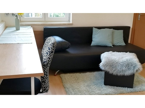 1 ROOM APARTMENT IN GRAZ - STRASSGANG, FURNISHED - Appartements équipés
