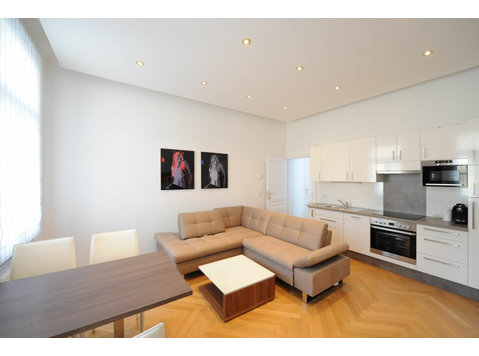 Beautiful, modern apartment in Vienna - For Rent