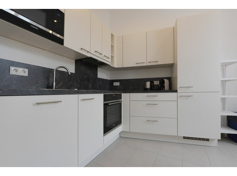 Beautiful, modern apartment in Vienna - For Rent