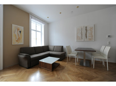 Beautiful, modern apartment near city center (Vienna) - Za iznajmljivanje