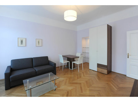 Beautiful, modern apartment near city center (Vienna) - K pronájmu